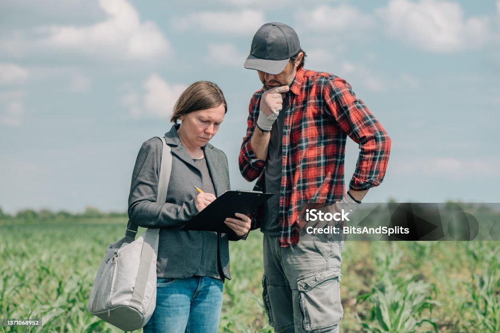 Mortgage loan officer assisting farmer in financial allowance application process Mortgage loan officer assisting farmer in financial allowance application process, banker and farm worker in corn maize crop field. Financial Advisor Stock Photo