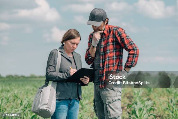 Mortgage Loan Officer Assisting Farmer In Financial Allowance Application Process Stock Photo - Download Image Now