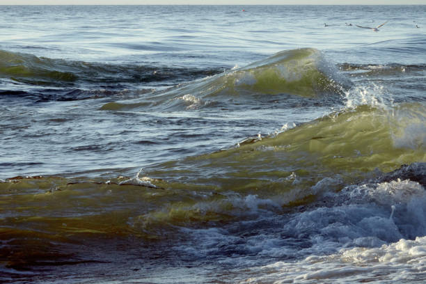 A restless sea. Sea waves. The surf.