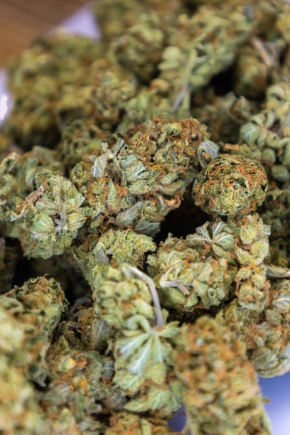 istock marijuana flower bud background, medical cannabis 1371072582