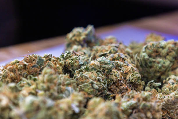 istock marijuana flower bud background, medical cannabis 1371072711