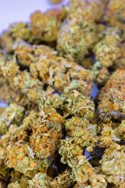 istock marijuana flower bud background, medical cannabis 1371072771