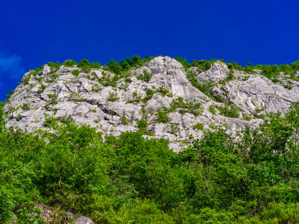 istock Danube gorge at Djerdap in Serbia 1371073806