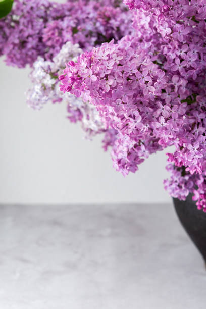 istock Bouquet of lilacs in a clay pot on a table 1371073894