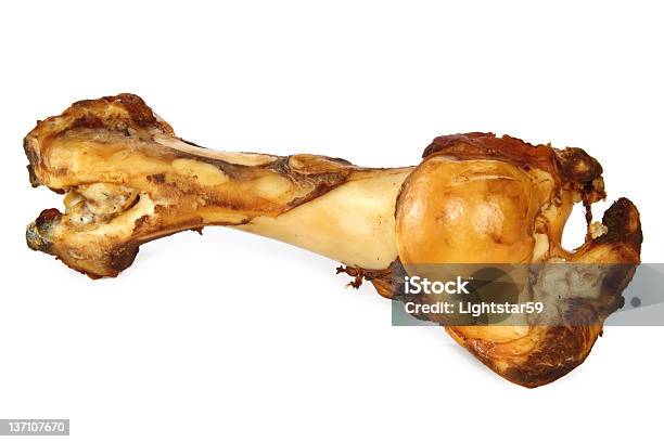 개 뼈 강아지 뼈다귀에 대한 스톡 사진 및 기타 이미지 - 강아지 뼈다귀, 개, 동물 뼈