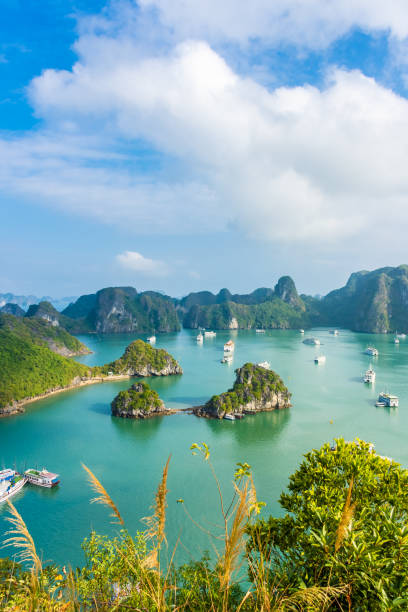 krajobraz ha long bay, wietnam - halong bay vietnam bay cruise zdjęcia i obrazy z banku zdjęć