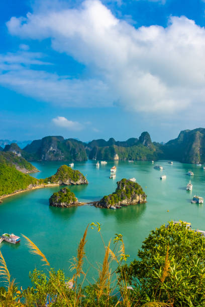 하롱베이 풍경, 베트남 - vietnam halong bay bay photography 뉴스 사진 이미지