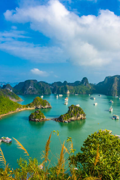 Ha Long Bay landscape, Vietnam HA LONG BAY, VIETNAM, JANUARY 6 2020: Beautiful landscape of Ha Long Bay vietnam stock pictures, royalty-free photos & images