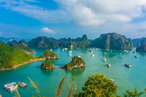 krajobraz ha long bay, wietnam - halong bay vietnam bay cruise zdjęcia i obrazy z banku zdjęć