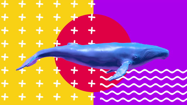 Swimming blue whale. Abstract art concept with geometric shapes. Realistic 3d character animal in creative modern motion style. Minimal graphic colorful psychedelic memphis design. Fashion animation.