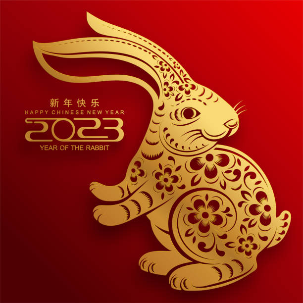 illustrazioni stock, clip art, cartoni animati e icone di tendenza di felice anno nuovo cinese 2023 anno del coniglio - anno del coniglio