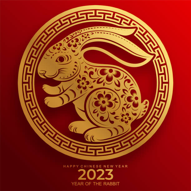 Happy chinese new year 2023 year of the rabbit Happy chinese new year 2023 year of the rabbit zodiac sign, gong xi fa cai with flower,lantern,asian elements gold paper cut style on color Background. (Translation : Happy new year, rabbit year) rabbit stock illustrations