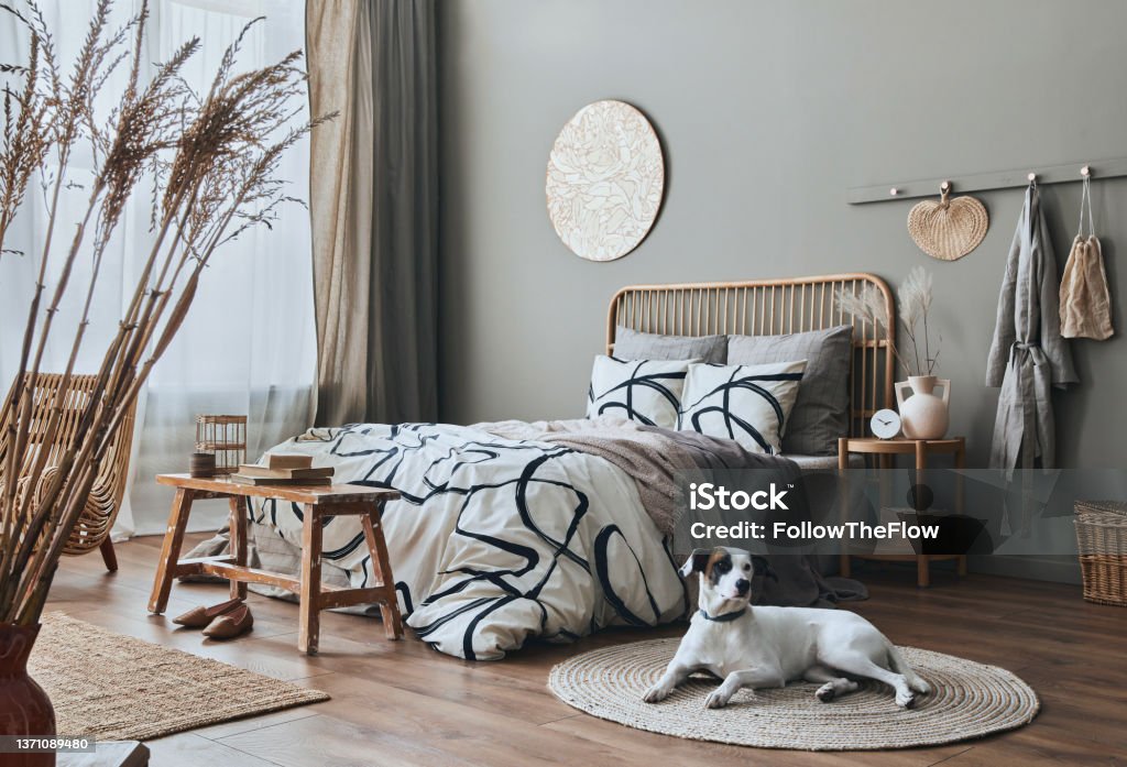 Stylish composition of bedroom interior with wooden bed, furniture, dried flowers in vase, rattan decoration and elegant accessories. Beautiful dog lying on the carpet. Template. Stylish composition of bedroom interior with wooden bed, furniture and elegant accessories. Cozy home decor. Apartment Stock Photo