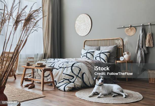 Stylish Composition Of Bedroom Interior With Wooden Bed Furniture Dried Flowers In Vase Rattan Decoration And Elegant Accessories Beautiful Dog Lying On The Carpet Template Stock Photo - Download Image Now