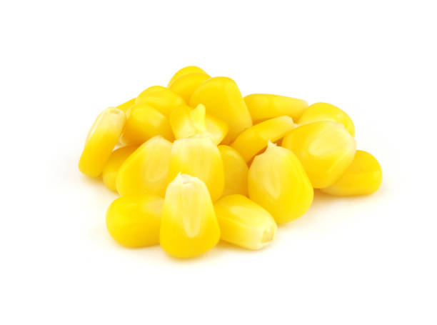 istock Heap of corn seeds isolated on white 1371090467