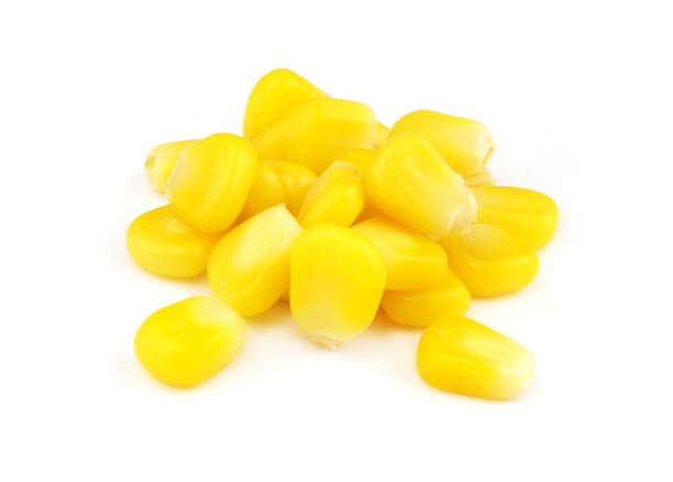 istock Heap of corn seeds isolated on white 1371090486
