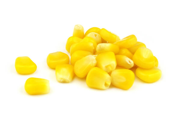 istock Heap of corn seeds isolated on white 1371090498