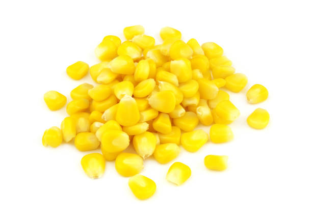 istock Heap of corn seeds isolated on white 1371090583