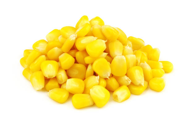 istock Heap of corn seeds isolated on white 1371090599