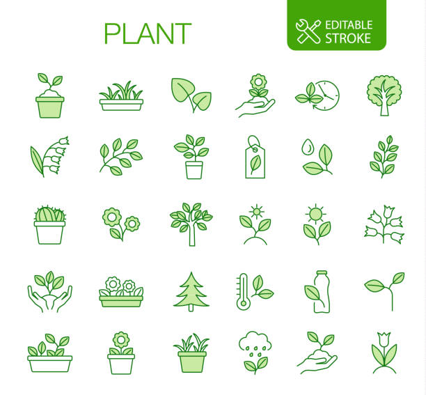 ilustrações, clipart, desenhos animados e ícones de ícones de planta definem traçado editável - bush flower pot tree flower