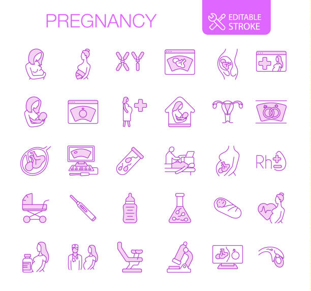 Pregnancy Icons Set Editable stroke Pregnancy icons set. Editable stroke. Thin line vector icons. Pink color.

You can find more unique icon sets at the link: https://www.istockphoto.com/collaboration/boards/qUfvBxVnEU64XaERvnM_Fw life science lab stock illustrations