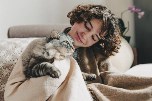 Showing love for pets while in cozy home, real people teenage girl with brown curly hair sits on sofa, wrapped in blanket, smiles sweetly, hugs beloved domestic gray cat, which purrs cute 15 year old girls stock pictures, royalty-free photos & images