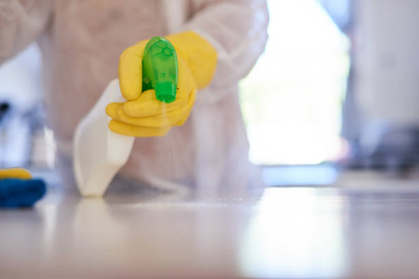 istock A cleaning professional sprays a kitchen counter with sanitiser 1371094494