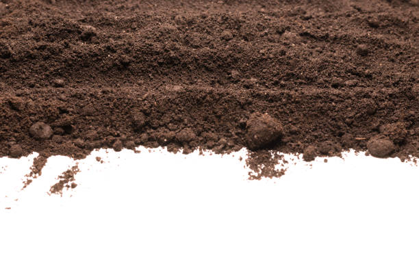 istock Black land for plant isolated on white background. 1371094626