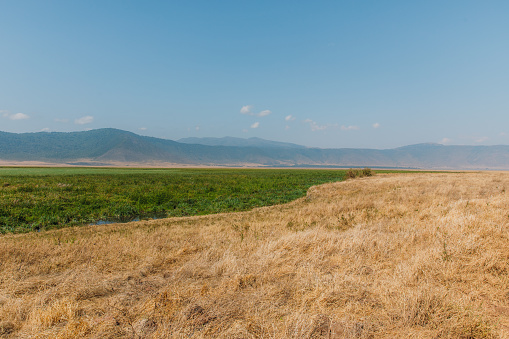 View of the wild savannah plain with mountain view in East Africa