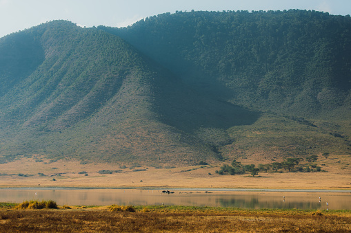 Wildebeest and Zebra animals by the lake with dramatic view of the mountains in Ngorongoro, East Africa