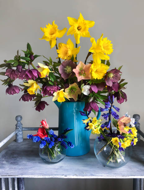 buquê romântico com daffodils, hellebore, jacintos, prímula, muscari e tulipas - hyacinth flower vase daffodil - fotografias e filmes do acervo