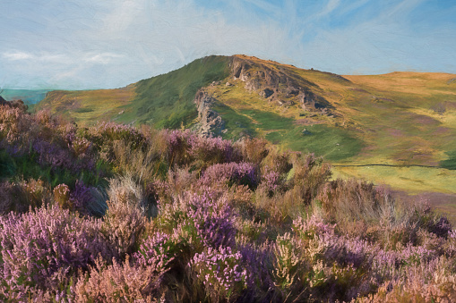 Digital painting of a panoramic view of purple heather at The Roaches, Staffordshire from Hen Cloud in the Peak District National Park, UK.