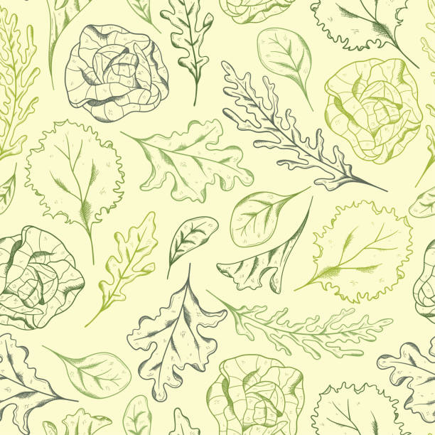 stockillustraties, clipart, cartoons en iconen met vector line art salad seamless pattern background ornament with hand drawn doodle elements. great for textiles, banners, wallpapers, wrapping - vector design - groene salade