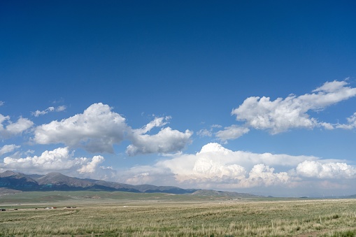 Grassland, blue sky and white clouds by Qinghai Lake.