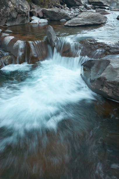 istock Oza Jungle in the Hecho Valley 1371106211