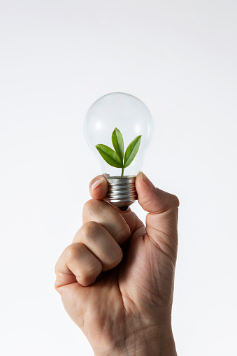 Human hand holding a light bulb with fresh green leaves inside, represent green energy