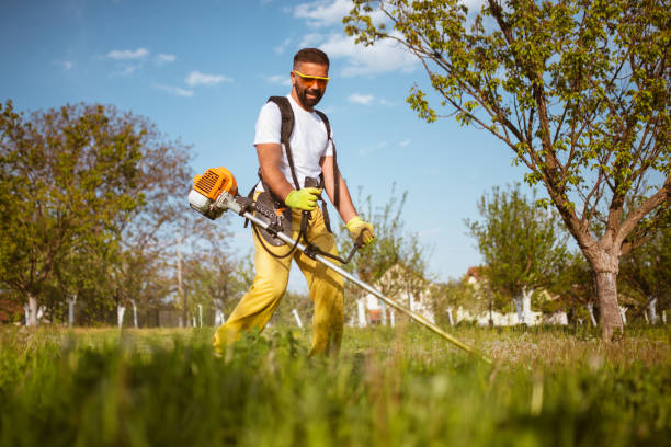 istock A young man mowing a grass in an orchard 1371114746