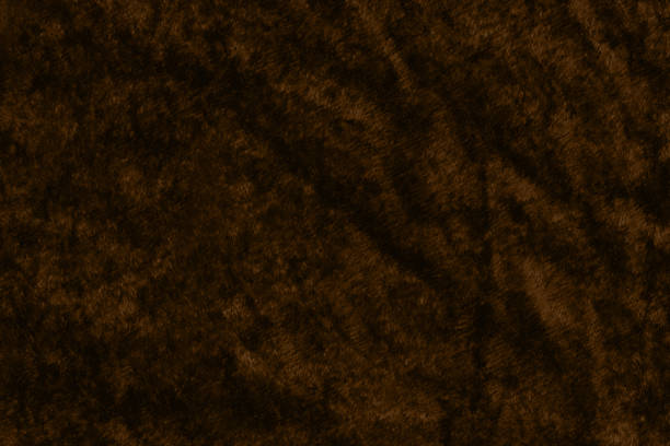 Texture of brown velor crumpled fabric. High quality photo