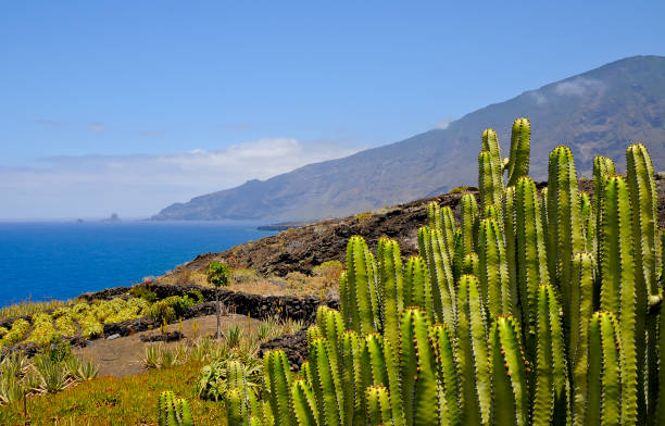 El Hierro, the top destination for hiking in unspoilt nature. stock photo