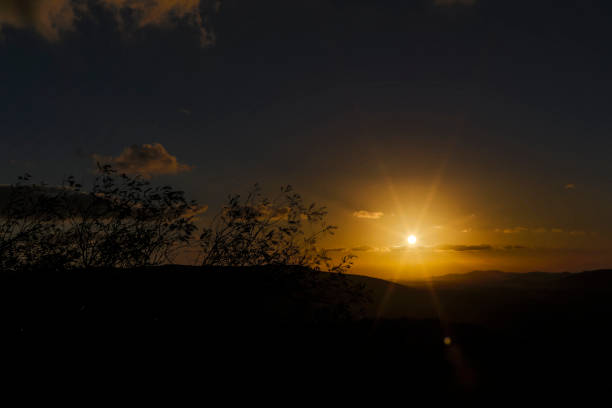 istock Sunset in the field I 1371117567