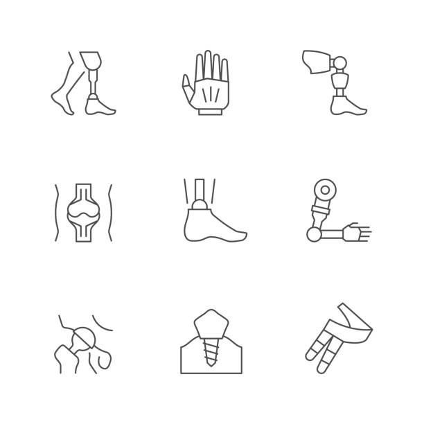 Set line icons of prosthesis Set line icons of prosthesis isolated on white. Artificial limb, prosthetic equipment, joint treatment, orthopedic procedure, human disability. Vector illustration robot-legs stock illustrations