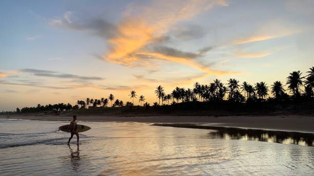 istock Surfer walking in Bahia Brazil 1371117994