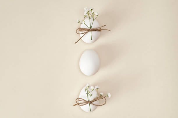 Directly above shot of natural easter eggs in the row