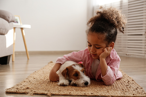 Little black girl playing with her friend, the adorable wire haired Jack Russel terrier puppy at home. Preschooler with rough coated pup lying on the floor. Interior background, close up, copy space.