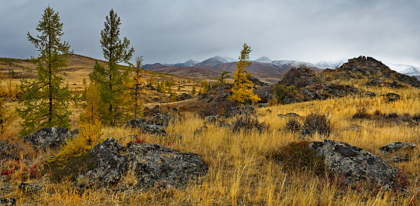 Russia. The South of Western Siberia, the Altai Mountains. The beginning of autumn on picturesque rocky placers in the Kurai steppe along the Chui tract.