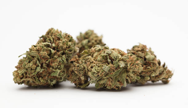 istock partial view of marijuana with room for text, white background 1371126266
