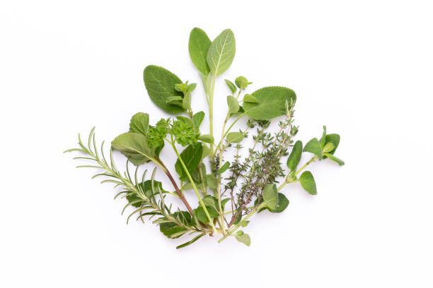 istock Herbal spice on a white background. Top view. 1371129572