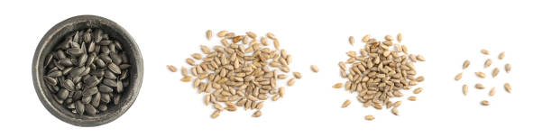 istock Pile sunflower seeds isolated on white background top view 1371136557