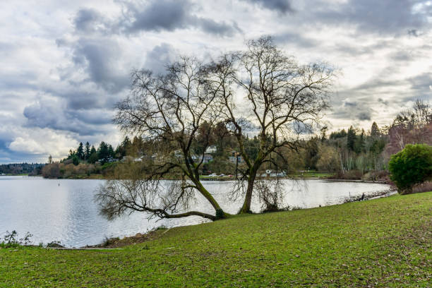 Iisan Lake Pakr