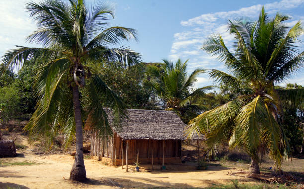 istock Traditional housing in northern Madagascar 1371142933